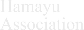 Hamayu Association